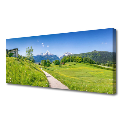 Quadro em tela Montanhas Meadow Path Valley