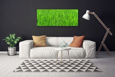 Quadro canvas Grama Verde Natureza Gramado