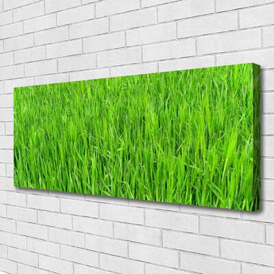 Quadro canvas Grama Verde Natureza Gramado