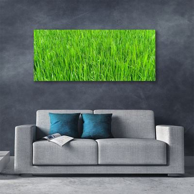 Quadro canvas Grama Verde Natureza Gramado