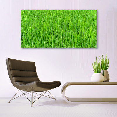 Quadro canvas Grama Verde Natureza Gramado