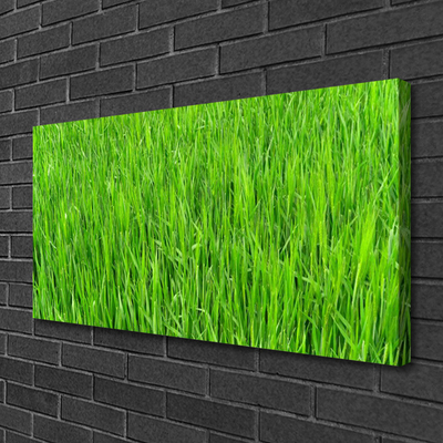 Quadro canvas Grama Verde Natureza Gramado