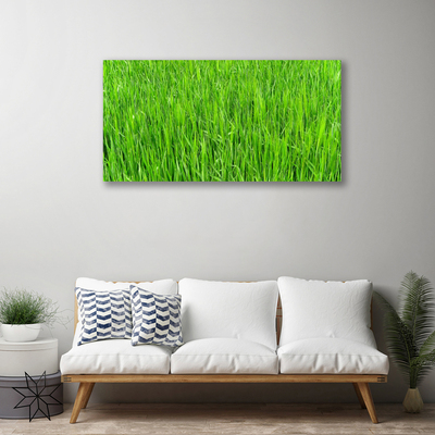 Quadro canvas Grama Verde Natureza Gramado