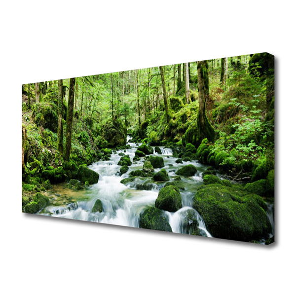 Quadro canvas Rio Cachoeiras Riacho Florestal