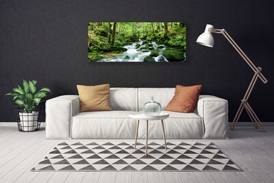 Quadro canvas Rio Cachoeiras Riacho Florestal