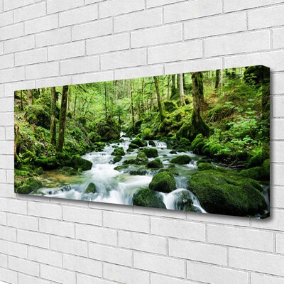 Quadro canvas Rio Cachoeiras Riacho Florestal