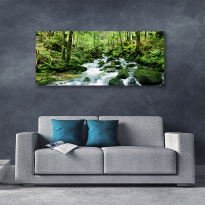 Quadro canvas Rio Cachoeiras Riacho Florestal