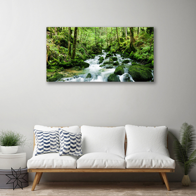 Quadro canvas Rio Cachoeiras Riacho Florestal
