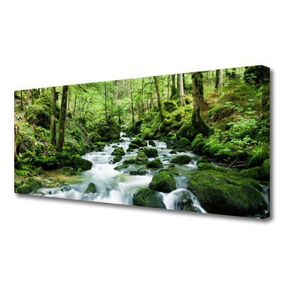Quadro canvas Rio Cachoeiras Riacho Florestal