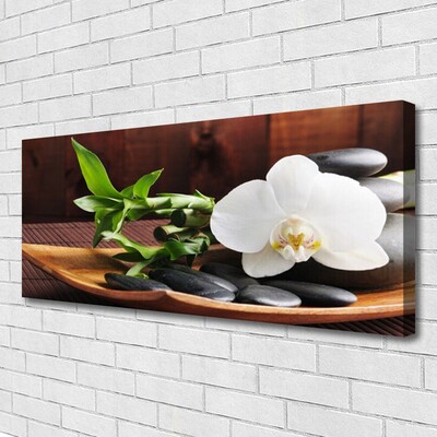 Quadro em tela Bambu Zen Orquídea Branca