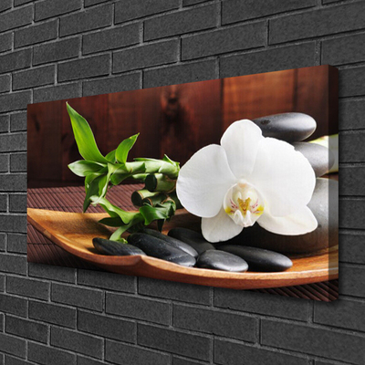 Quadro em tela Bambu Zen Orquídea Branca