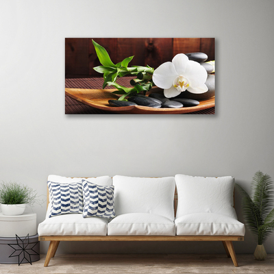 Quadro em tela Bambu Zen Orquídea Branca