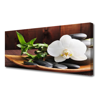Quadro em tela Bambu Zen Orquídea Branca