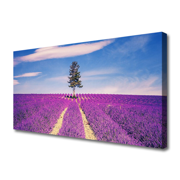 Quadro em tela Árvore do Prado do Campo de Lavanda