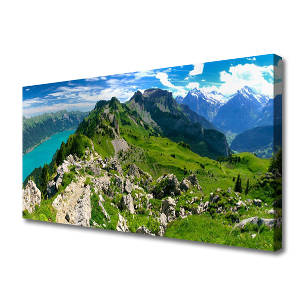 Quadro canvas Paisagem das Montanhas Meadow Nature