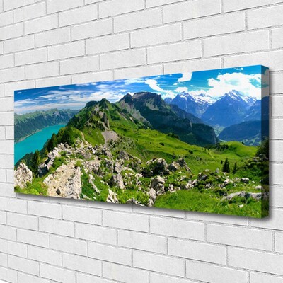 Quadro canvas Paisagem das Montanhas Meadow Nature