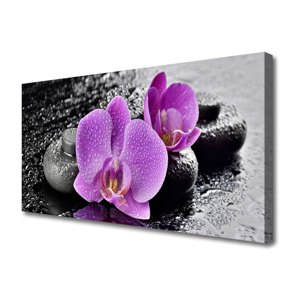 Quadro canvas Flores de Orquídea Spa de Orquídeas