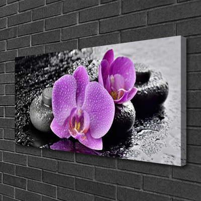 Quadro canvas Flores de Orquídea Spa de Orquídeas