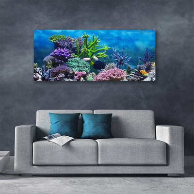 Quadro canvas Peixes de aquário subaquáticos