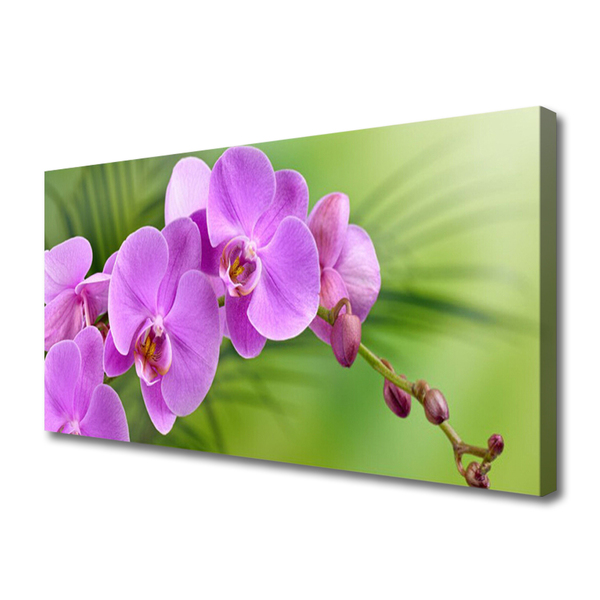 Quadro canvas Orquídea Flores de Orquídea
