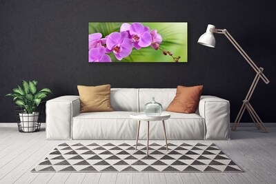 Quadro canvas Orquídea Flores de Orquídea