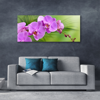 Quadro canvas Orquídea Flores de Orquídea
