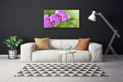 Quadro canvas Orquídea Flores de Orquídea