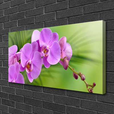 Quadro canvas Orquídea Flores de Orquídea