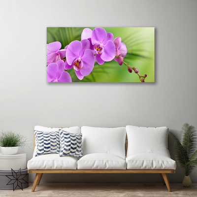 Quadro canvas Orquídea Flores de Orquídea