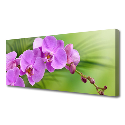 Quadro canvas Orquídea Flores de Orquídea