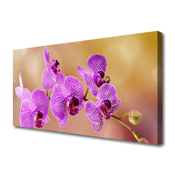 Quadro canvas Caules de orquídeas flores natureza