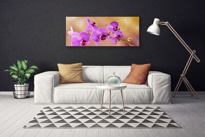 Quadro canvas Caules de orquídeas flores natureza