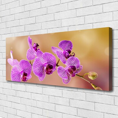 Quadro canvas Caules de orquídeas flores natureza