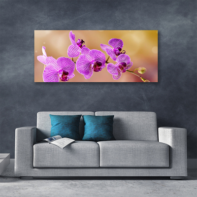 Quadro canvas Caules de orquídeas flores natureza
