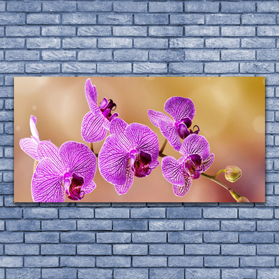 Quadro canvas Caules de orquídeas flores natureza