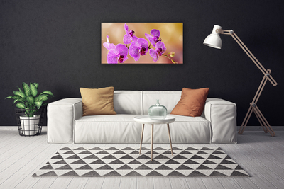 Quadro canvas Caules de orquídeas flores natureza