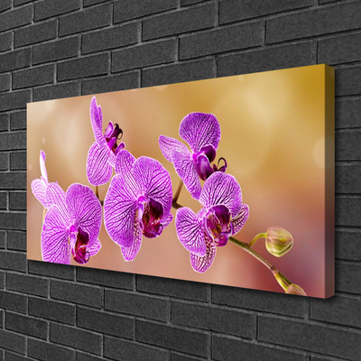 Quadro canvas Caules de orquídeas flores natureza