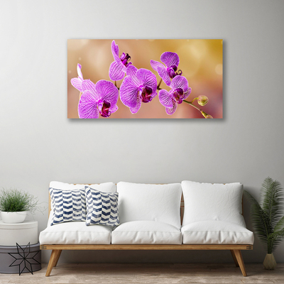 Quadro canvas Caules de orquídeas flores natureza