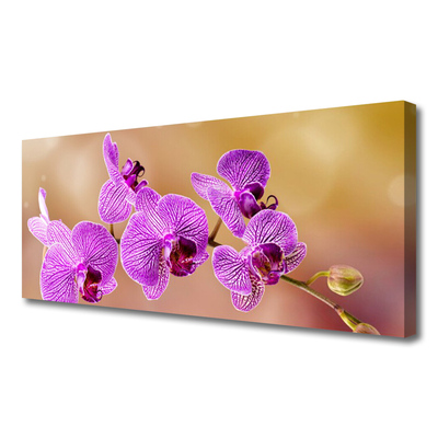 Quadro canvas Caules de orquídeas flores natureza
