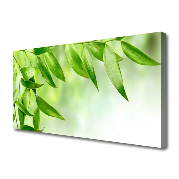 Quadro canvas Folhas Verdes Natureza