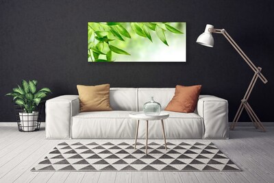 Quadro canvas Folhas Verdes Natureza