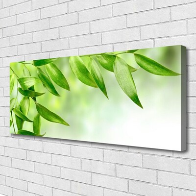 Quadro canvas Folhas Verdes Natureza