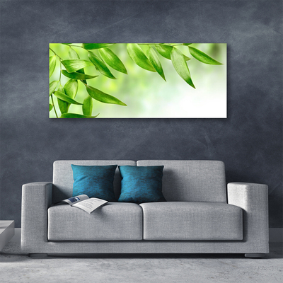 Quadro canvas Folhas Verdes Natureza