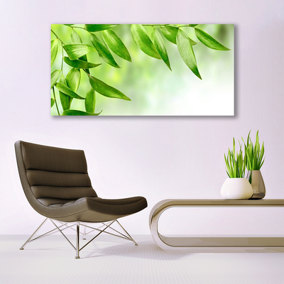 Quadro canvas Folhas Verdes Natureza