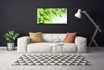 Quadro canvas Folhas Verdes Natureza
