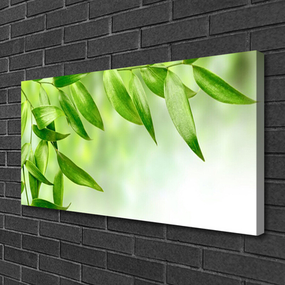 Quadro canvas Folhas Verdes Natureza