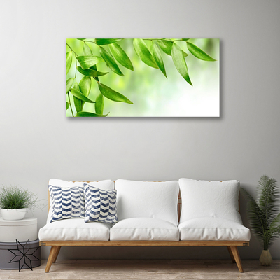 Quadro canvas Folhas Verdes Natureza