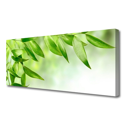 Quadro canvas Folhas Verdes Natureza