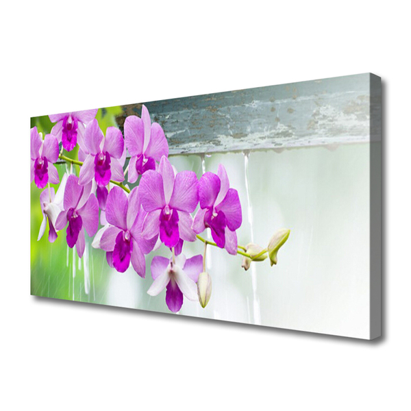 Quadro em tela Orquídeas Gotas Natureza
