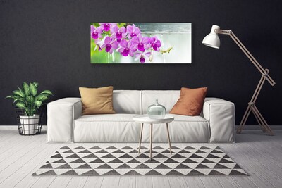 Quadro em tela Orquídeas Gotas Natureza
